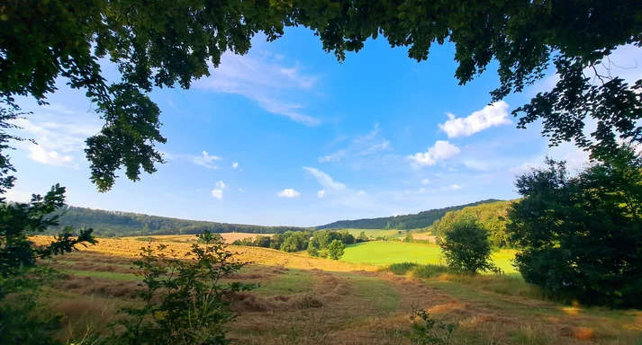 Eine grüne Wiese im Landkreis Northeim