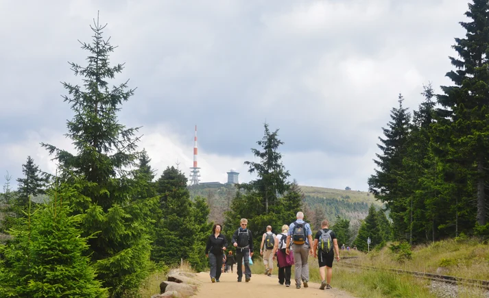 Eine Gruppe Wanderer auf einem Wanderweg im Harz. 