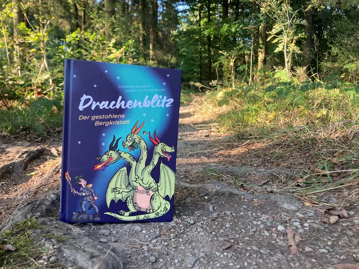 Das Buch "Drachenblitz" stehend auf einem Weg in der freien Natur. 