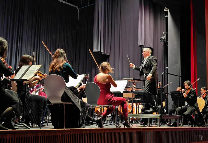 Das Göttinger Symphonie Orchester auf einer Bühne beim Konzert