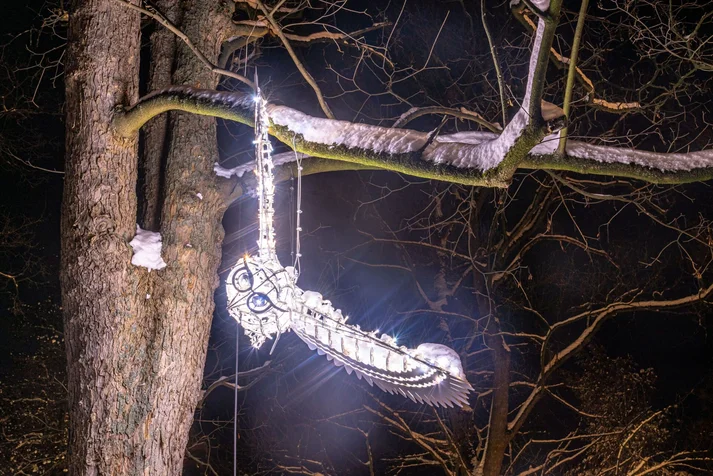 Lichterzauber im Schnee, Eule