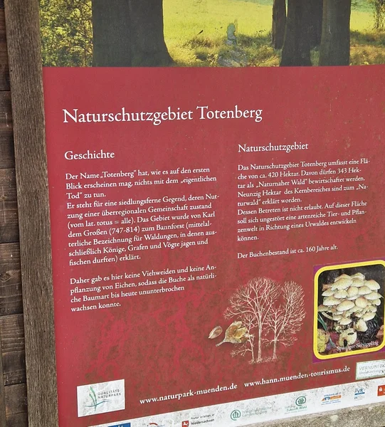 Naturgebiet Totenberg.jpg