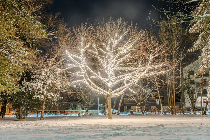 Lichterzauber im Schnee, Baum Wall