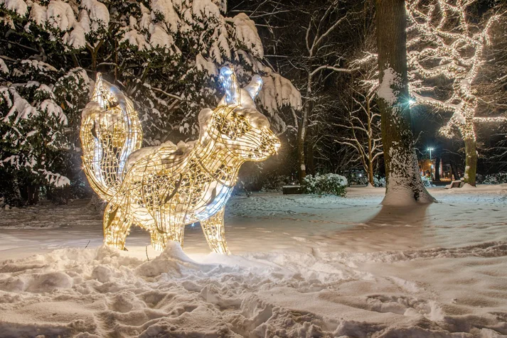 Lichterzauber im Schnee, Eichhörnchen