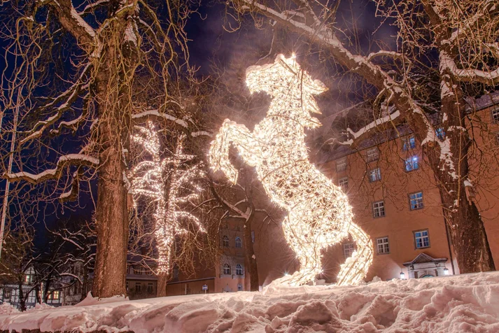 Lichterzauber im Schnee, Pferd