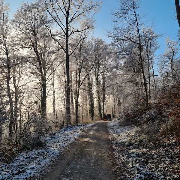 Glühweinwanderung Weg.jpg