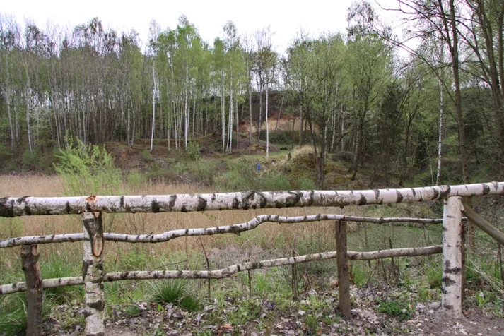 Blick auf die Tongrube mit halbkahlen Bäumen im Hintergrund und einem Zaun aus dünnen Birkenstämmen im Vordergrund