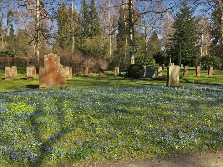 Gräber auf dem Stadtfriedhof Göttingen