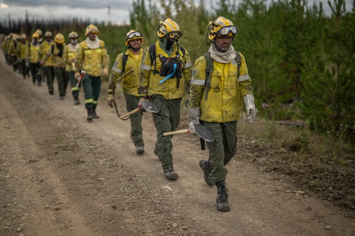 Internationale Solidarität Feuerwehr Waldbrände