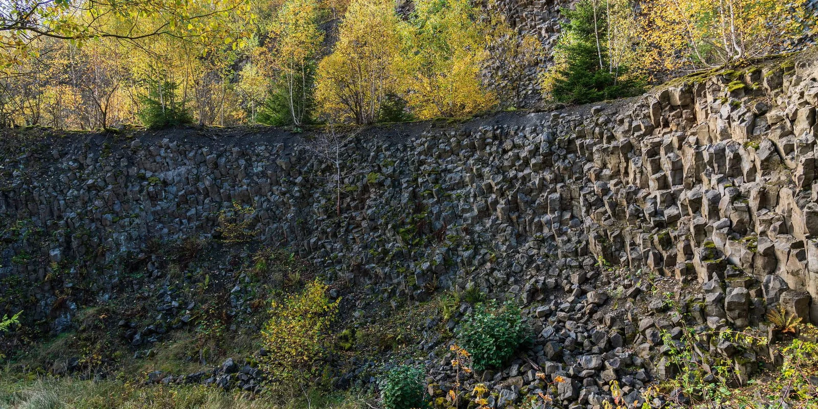 34 Bergpaupfad im Naturpark Münden (c) Ralf König.jpg