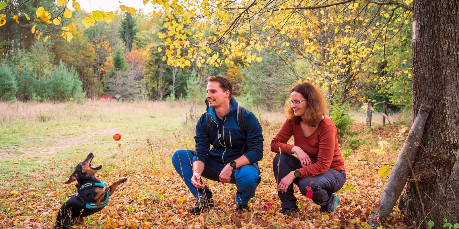 Herbstwanderung_Hoher-Hagen_48-(C)_Ralf König.jpg