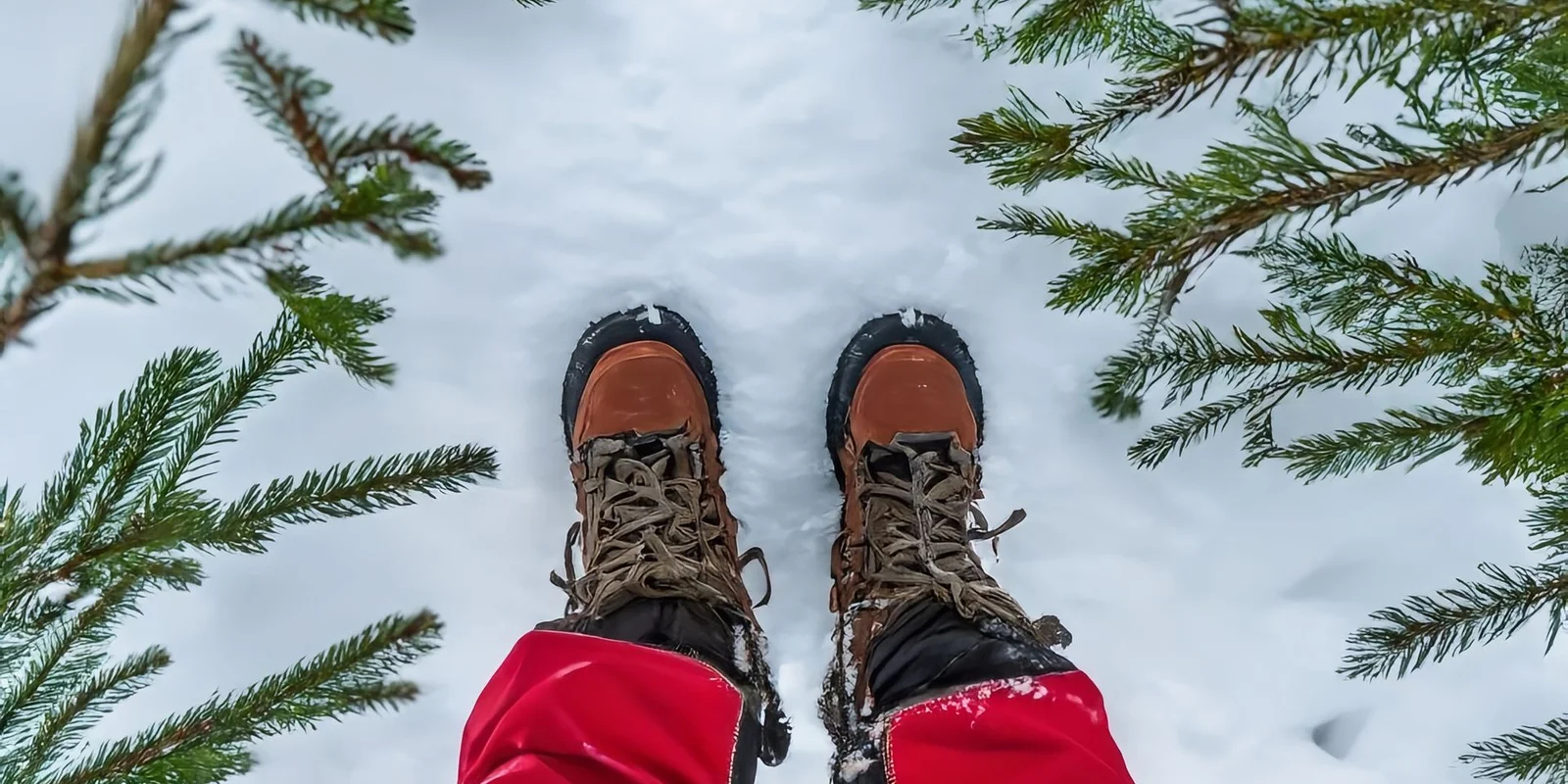 Winterwanderung.jpg