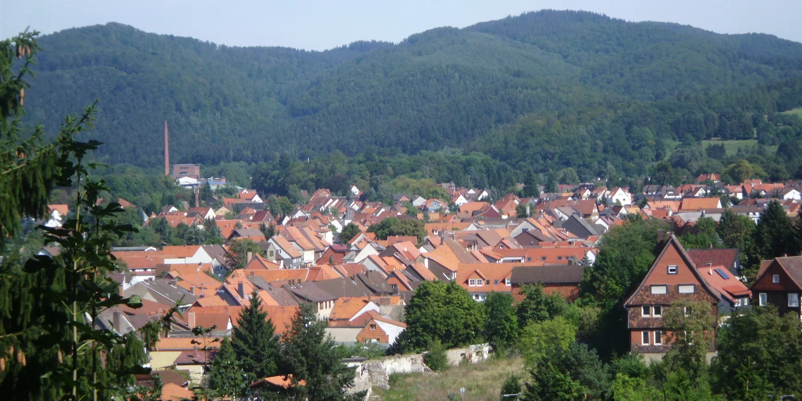 Blick auf Herzberg am Harz