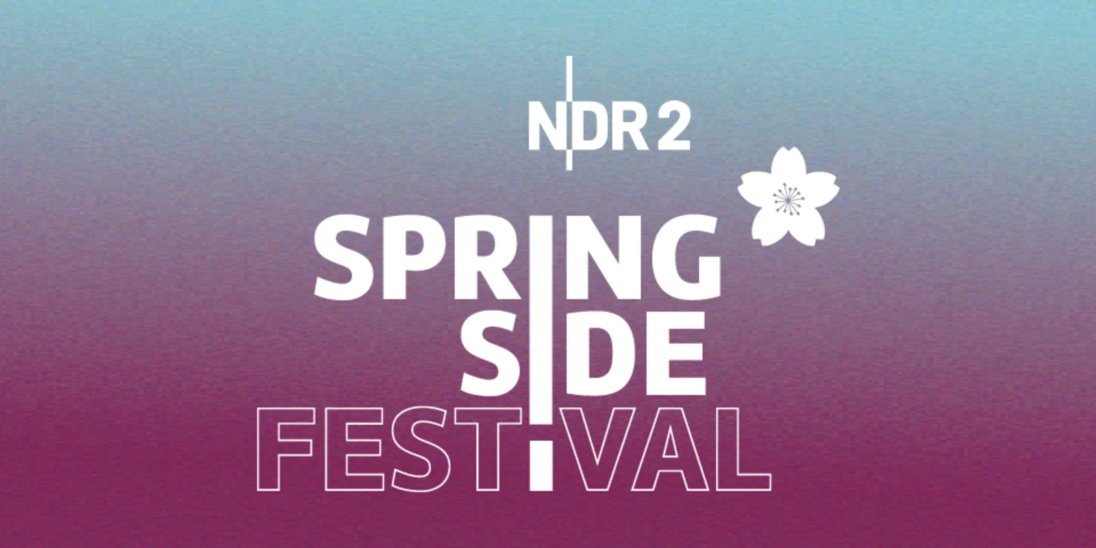 NDR 2 Springside Festival