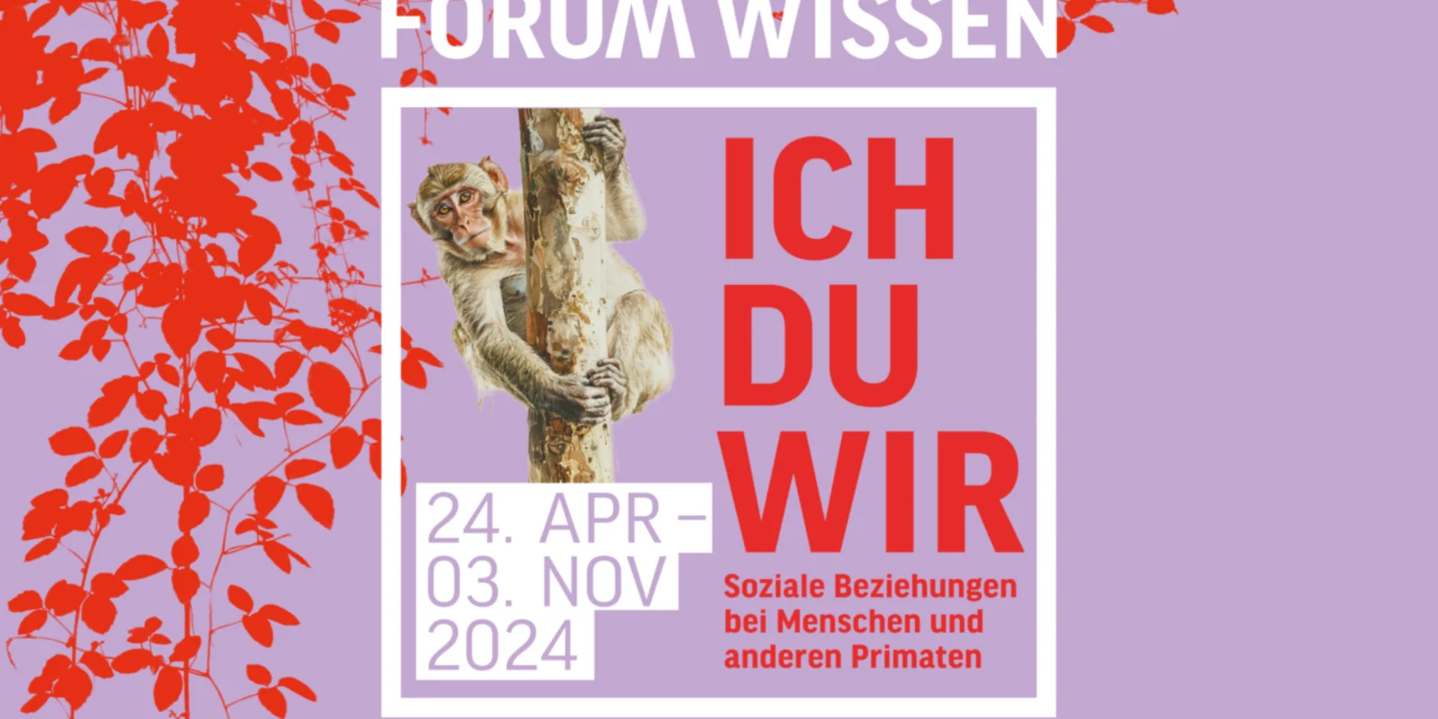 ICH-DU-WIR im Forum Wissen