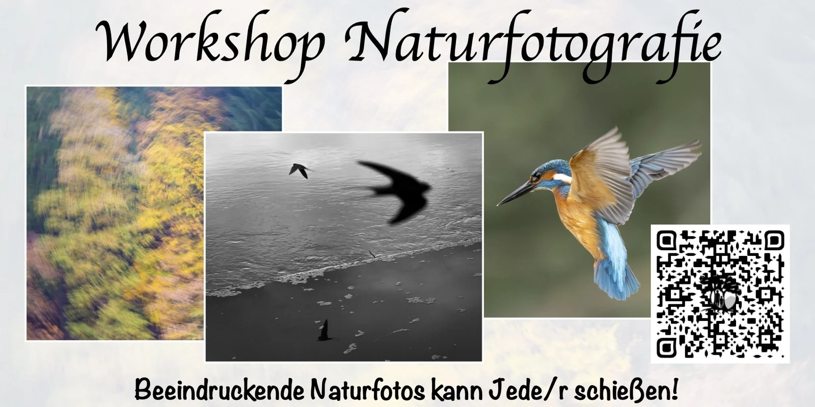 Workshop Naturfotografie Göttingen