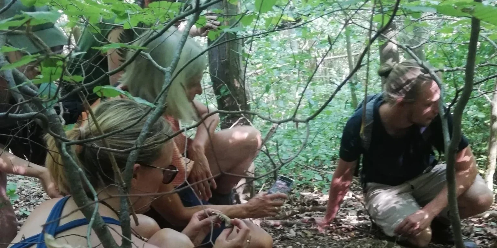 Durch Zweige hindurch sieht man einige Personen im Wald knien