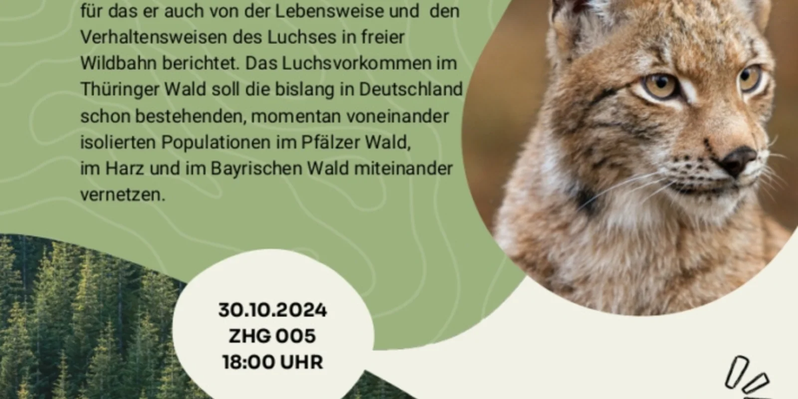 Poster Luchs