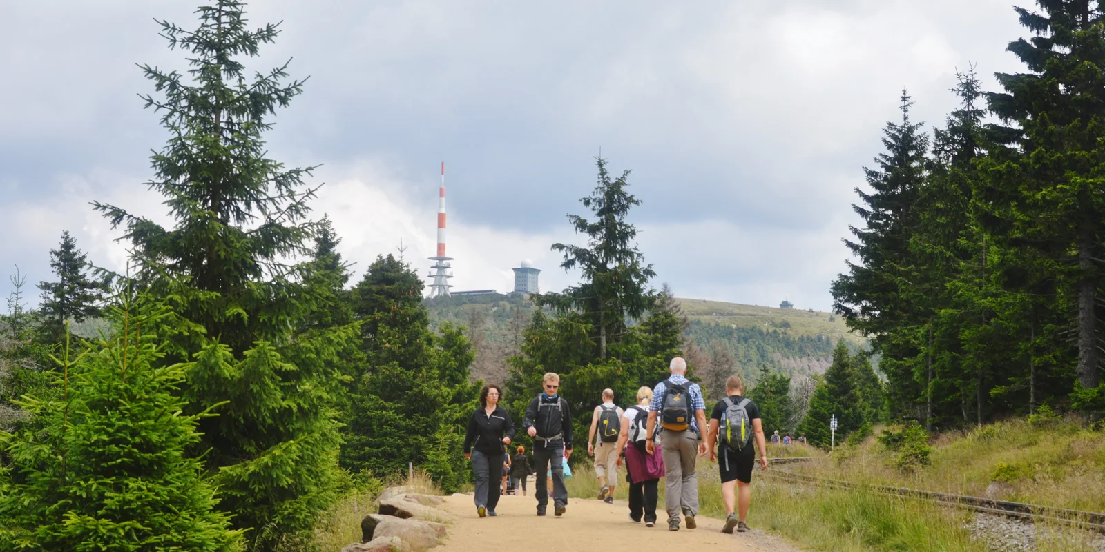 Eine Gruppe Wanderer auf einem Wanderweg im Harz. 