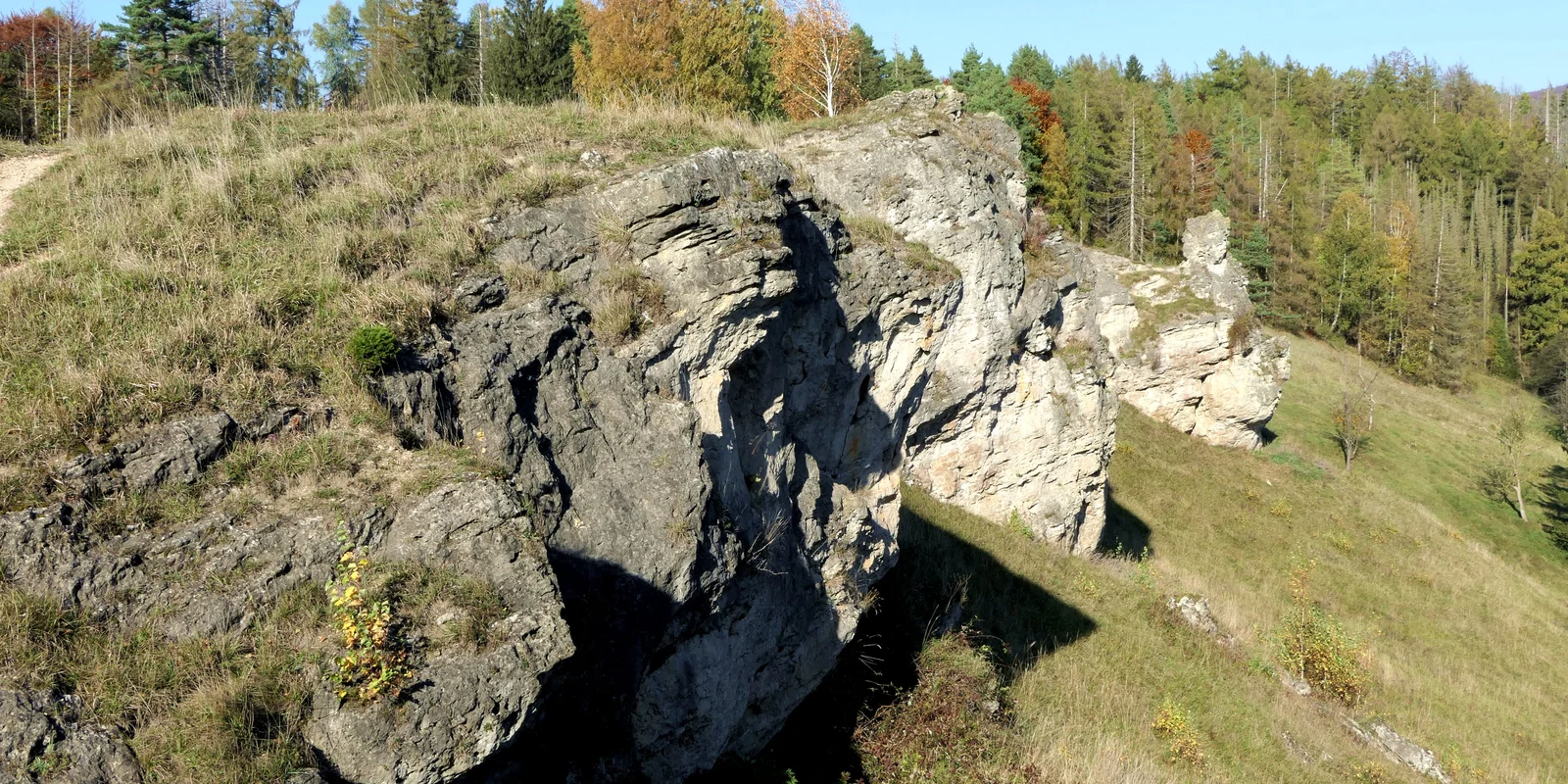 Klippen aus Dolomitgestein und artenreiche Kalkmagerrasen prägen den Steinberg bei Scharzfeld