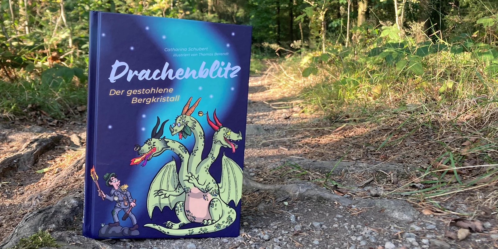 Das Buch "Drachenblitz" stehend auf einem Weg in der freien Natur. 