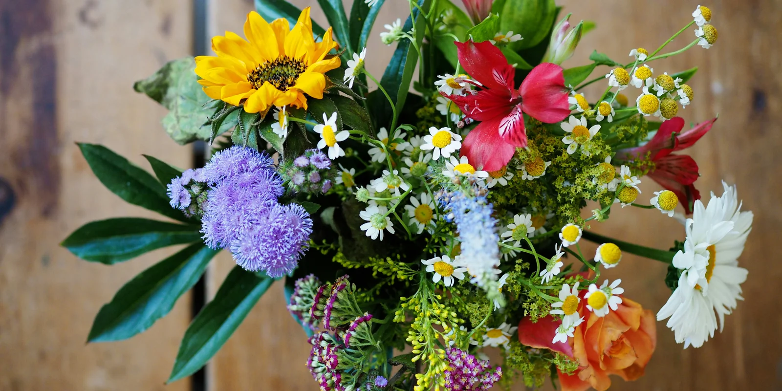 Verschiedenfarbige Blumen auf braunem Holz