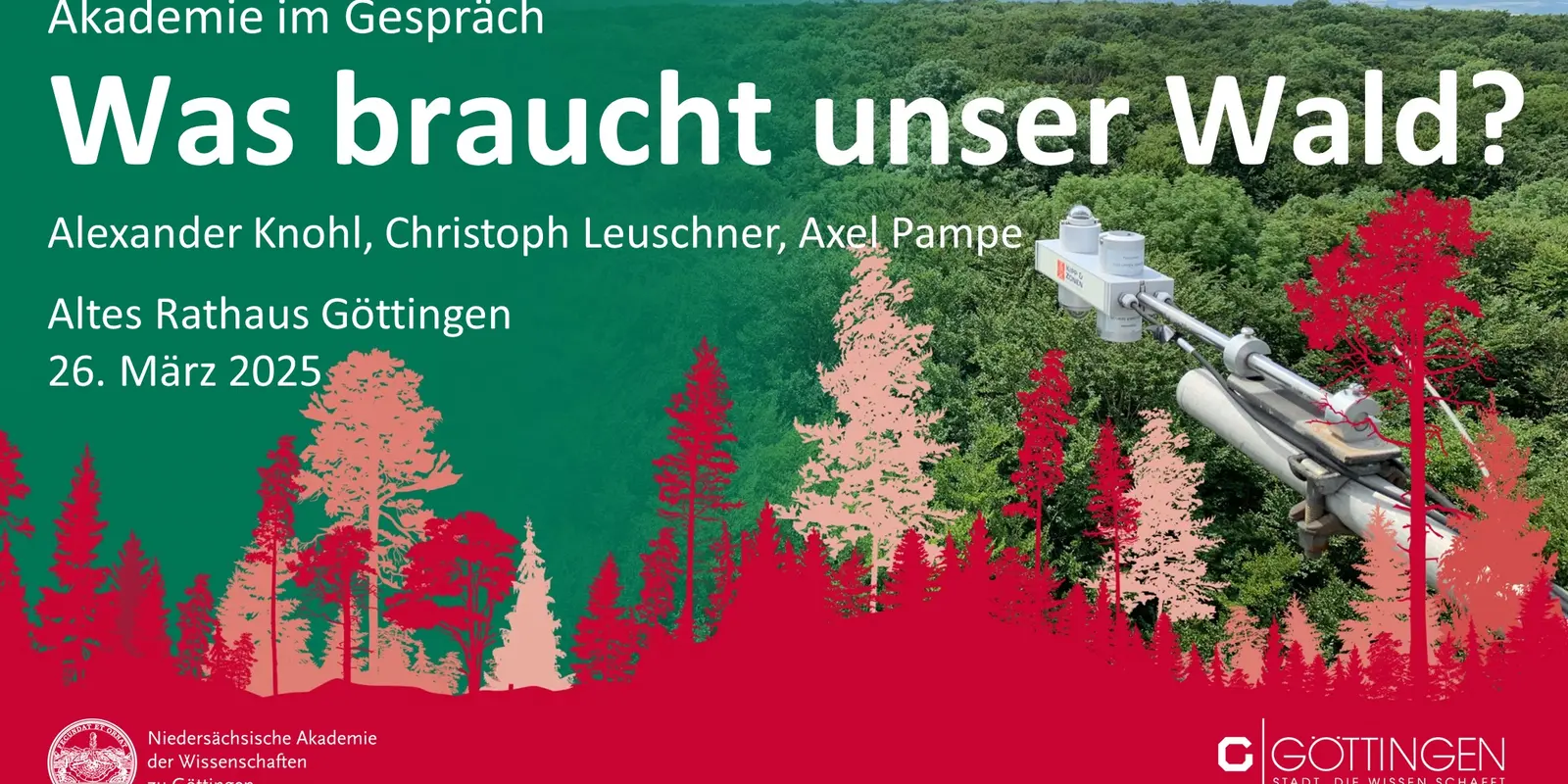 Was braucht unser Wald?