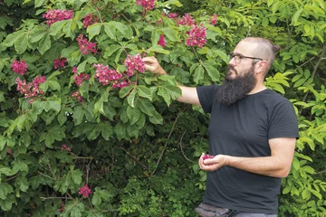 Dylan Sara steht in einem Garten und pflückt Blüten von einem Busch.