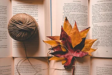 Geöfnette Bücher, ein braunes Garn sowie orange und rote Blätter