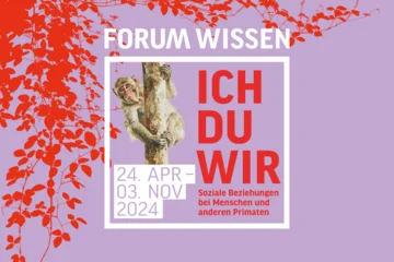 ICH-DU-WIR im Forum Wissen