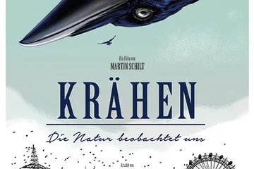 Krähen