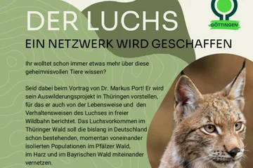 Poster Luchs