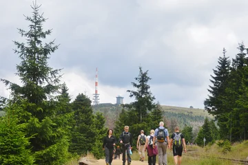 Eine Gruppe Wanderer auf einem Wanderweg im Harz. 