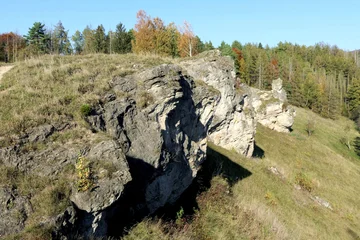 Klippen aus Dolomitgestein und artenreiche Kalkmagerrasen prägen den Steinberg bei Scharzfeld