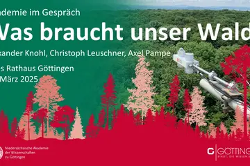 Was braucht unser Wald?