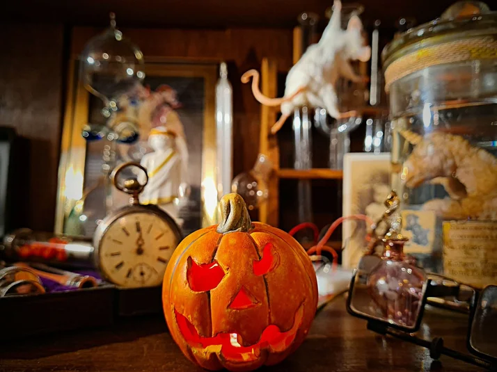 Halloweenangebot Wunderkammer Veranstaltungskalender.jpg