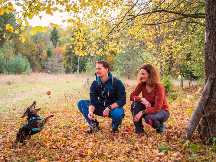 Herbstwanderung_Hoher-Hagen_48-(C)_Ralf König.jpg