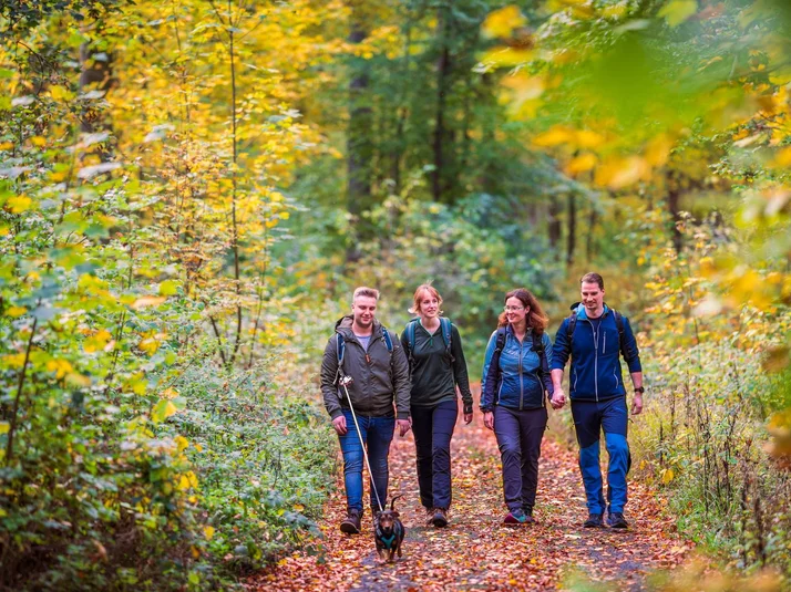 Herbstwanderung_Hoher-Hagen_18-(C)_Ralf König.jpg