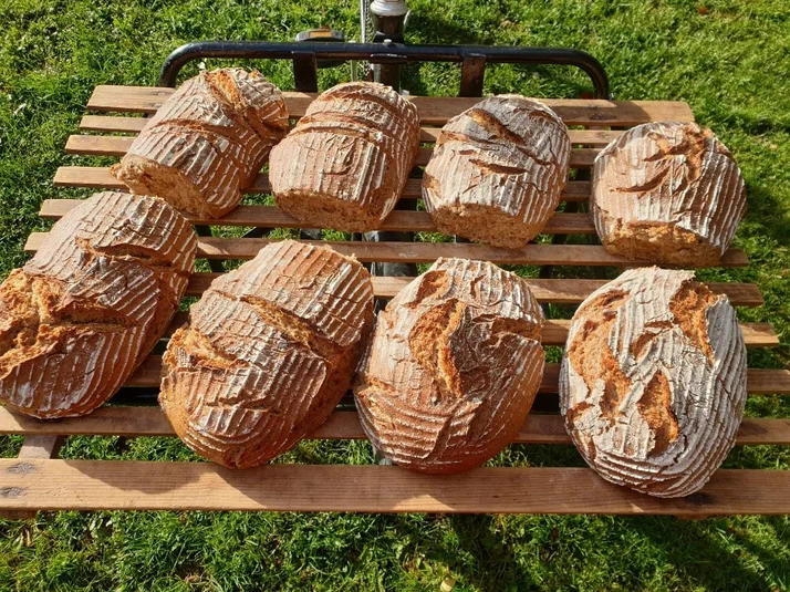Welttag des Brotes
