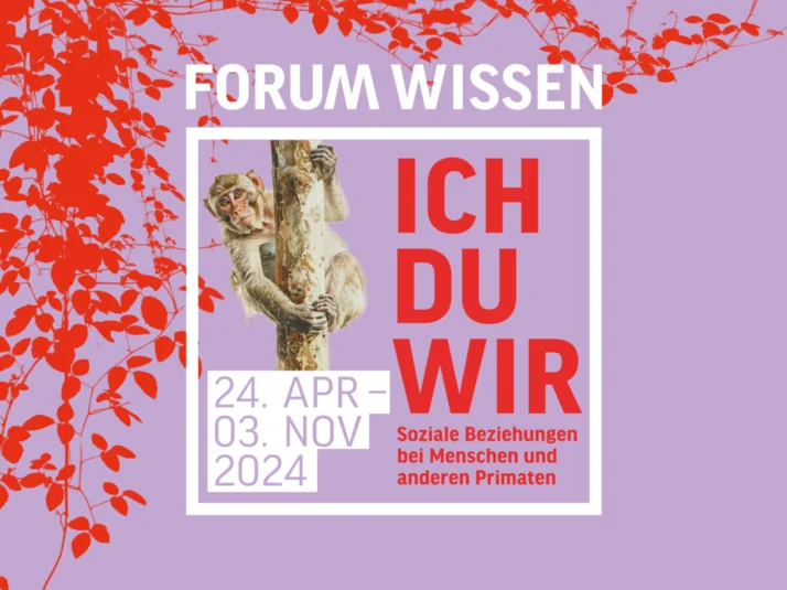 ICH-DU-WIR im Forum Wissen