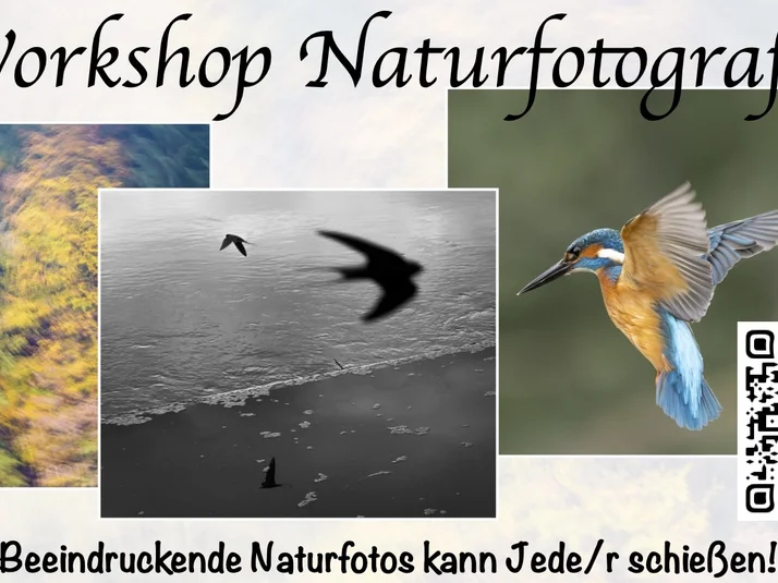 Workshop Naturfotografie Göttingen