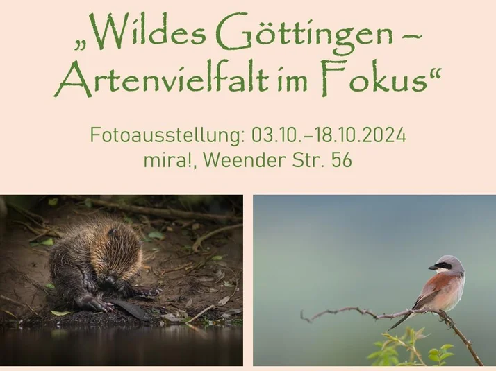 Naturfotoausstellung "Wildes Göttingen"