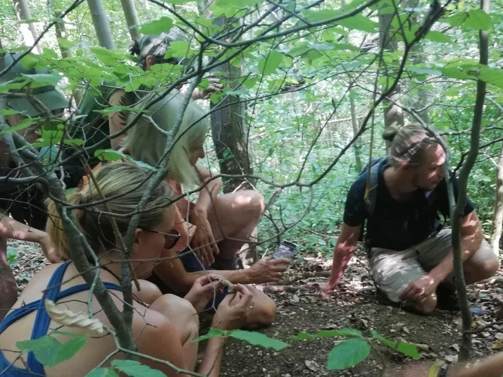 Durch Zweige hindurch sieht man einige Personen im Wald knien