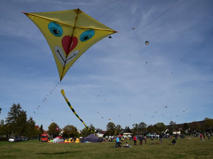 Drachenfest am 19.10.2024 von 11-16 Uhr