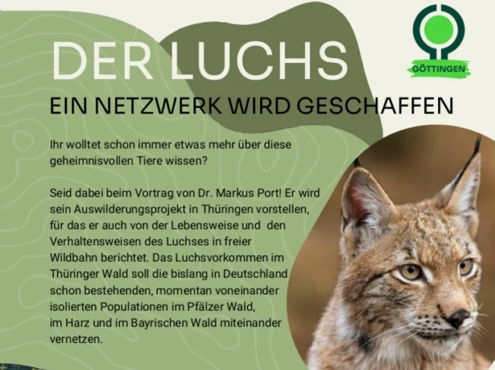 Poster Luchs